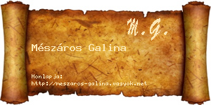 Mészáros Galina névjegykártya